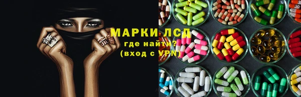трава Арсеньев