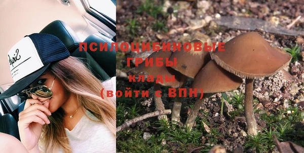 трава Арсеньев