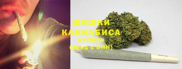трава Арсеньев
