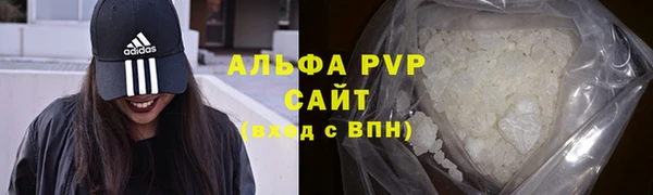 индика Семикаракорск