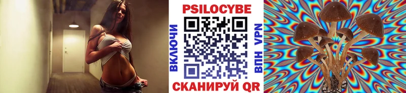 mega tor  наркотики  Аша  Галлюциногенные грибы Magic Shrooms 