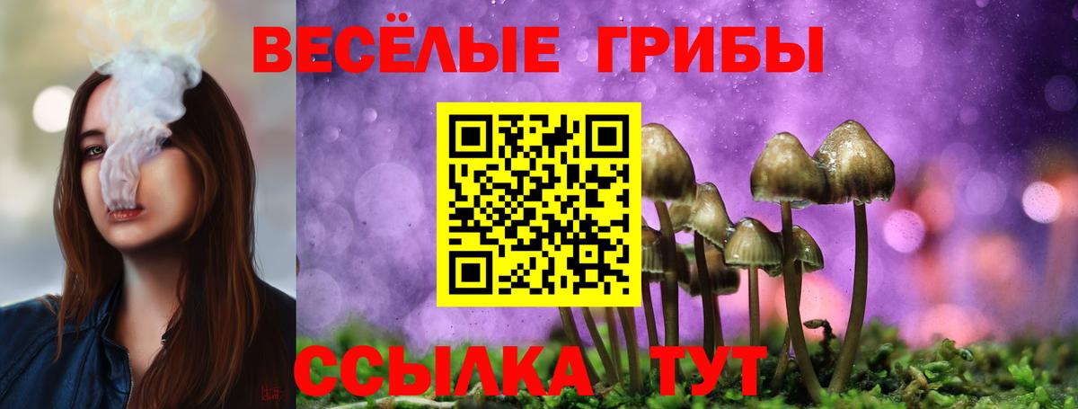 Псилоцибиновые грибы Psilocybe  Вход с VPN  Аша 